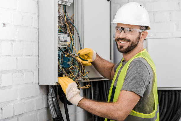 Best Electric Panel Repair  in Trenton, TN